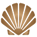 beach-seashell