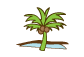 beach-palm-tree