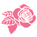 general-pink-rose
