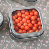 Clear Top Mint Tin Favors