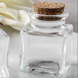 Perfectly Plain Collection square clear glass treat jar