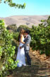 Wedding at a Vineyard